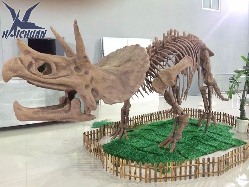 恐龍骨架
